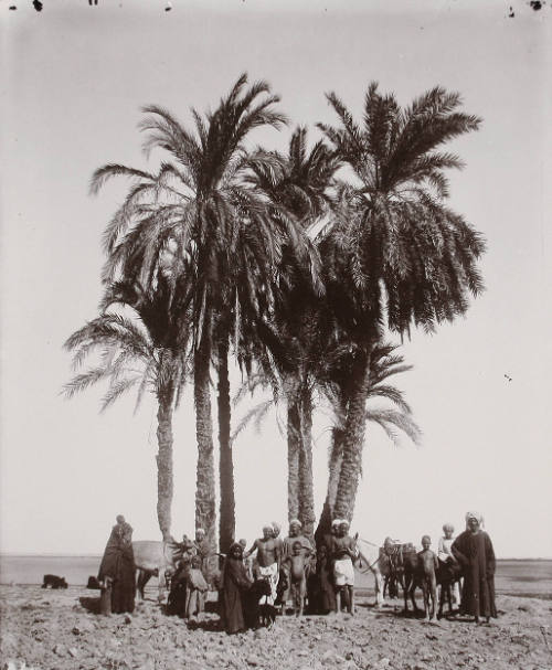 Collection of the Lowe Art Museum, University of Miami