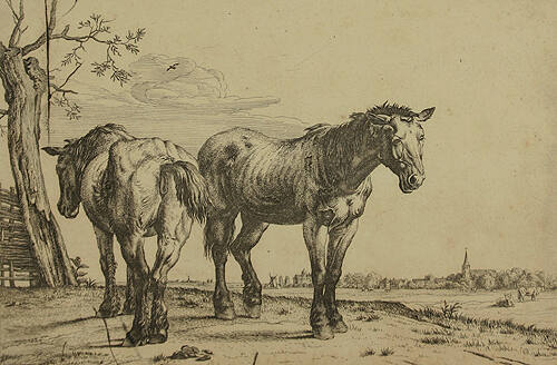 The Plough Horses