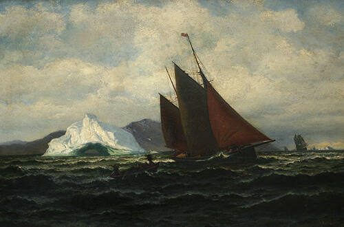 A Windy Day Off Newfoundland