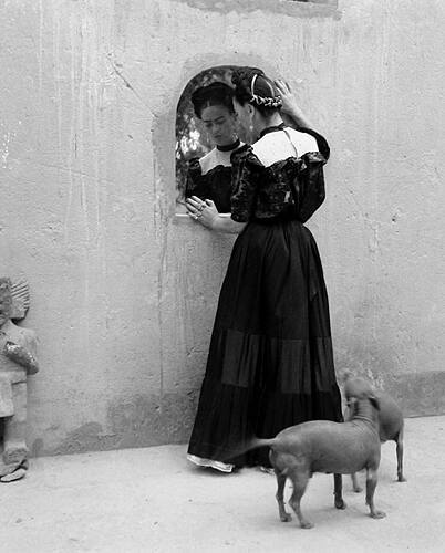 Frida Kahlo Looking in Mirror with Two Hairless Dogs