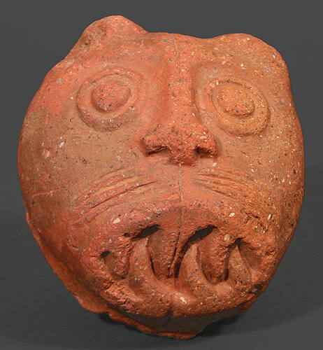 Feline Face