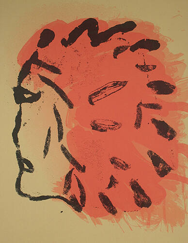 Injun Poster