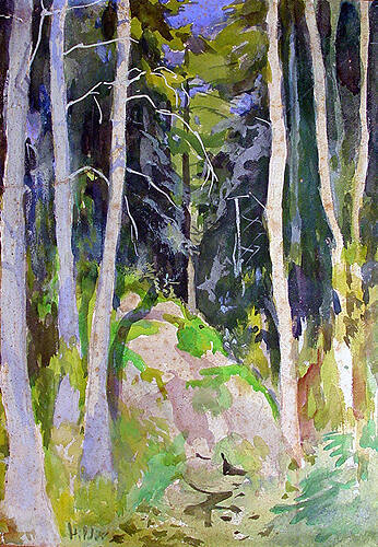 Mountain Trees, North Carolina