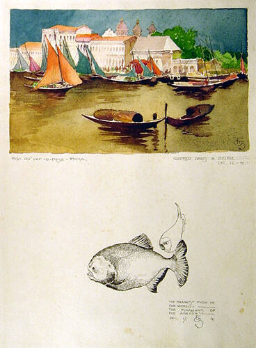 Colored Sails in Belem/The Meanest Fish in the World - The Piranhas of the Amazon