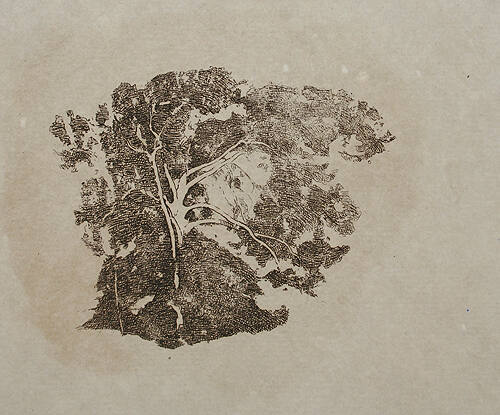 Tree Study