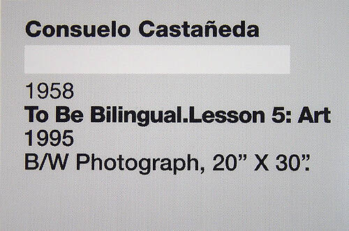 To Be Bilingual, Lesson 5: Art